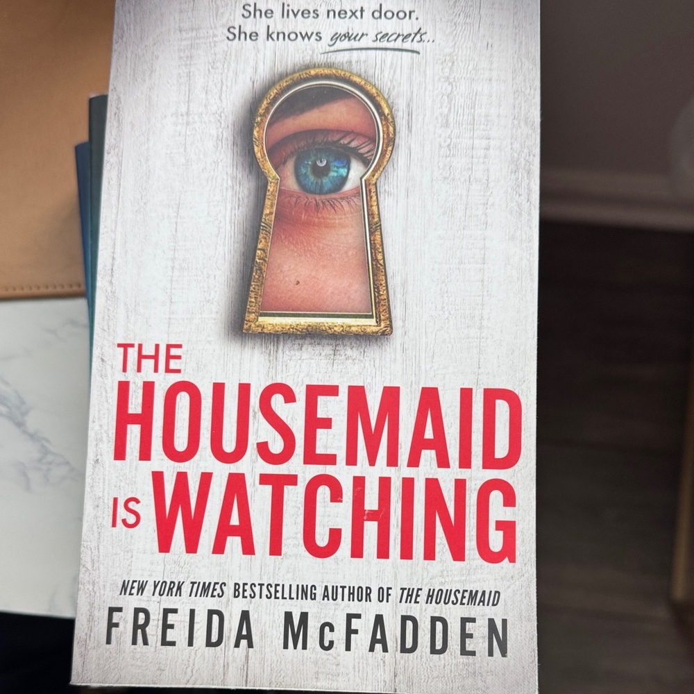 The Housemaid is Watching Book